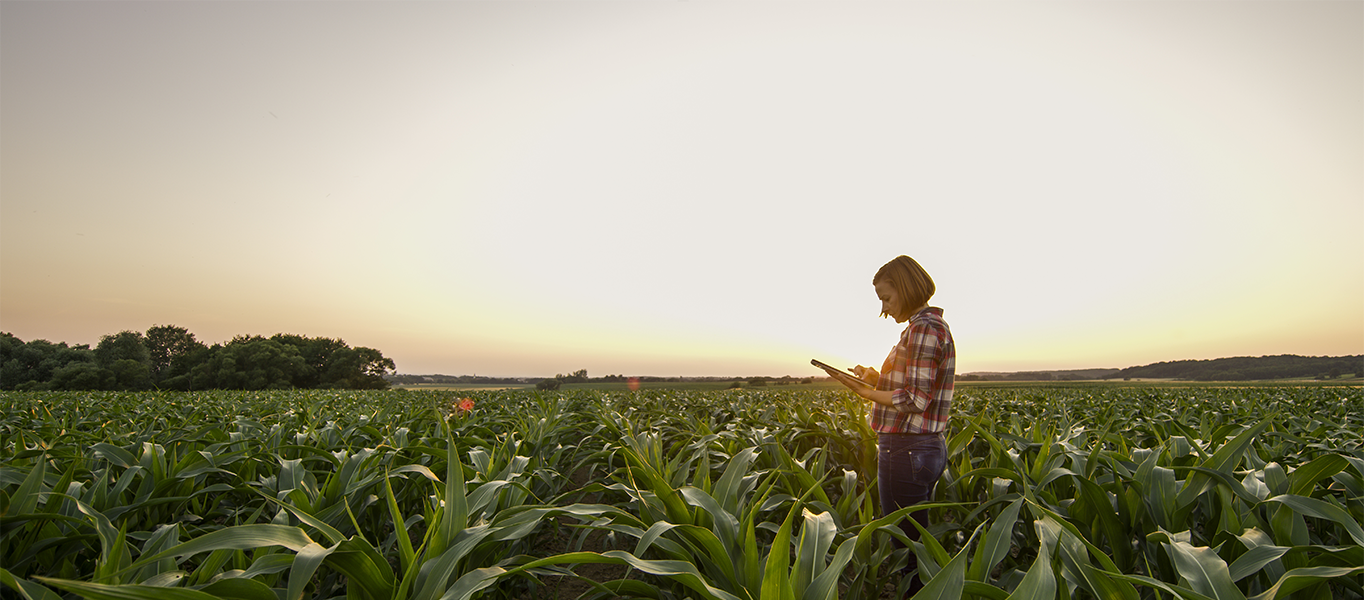 Farm Bureau Banking Services Business Bank Farm Bureau Bank